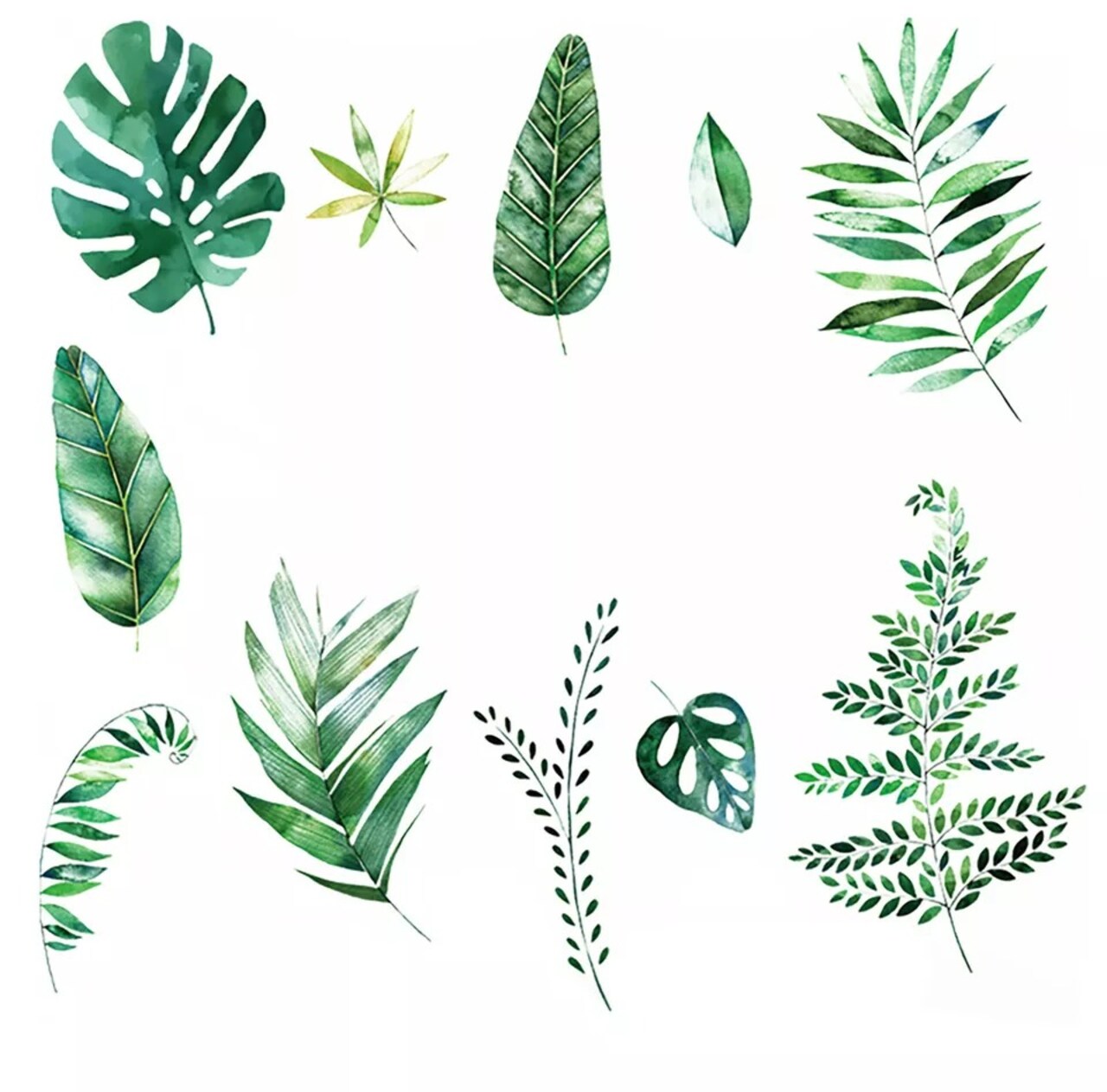 Green Assorted Tropical Leaves WALL STICKER Hanging Leaves Removable PVC Home